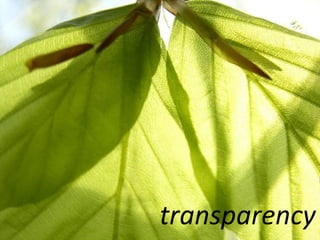 transparency 