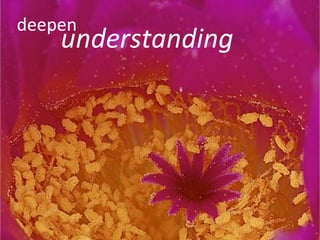 deepen understanding 