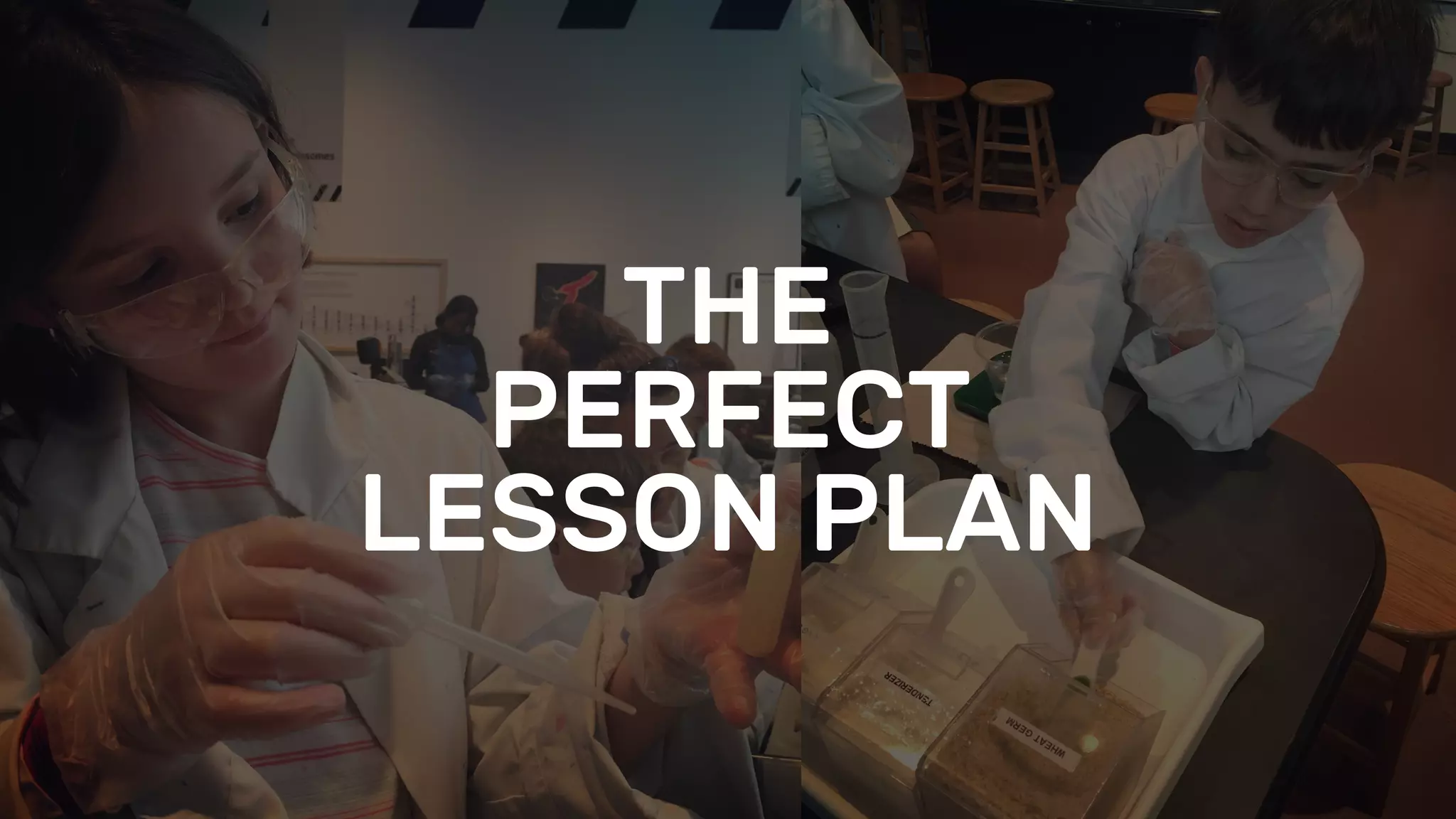 THE
PERFECT
LESSON PLAN
 