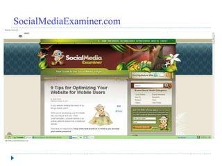 SocialMediaExaminer.com
 