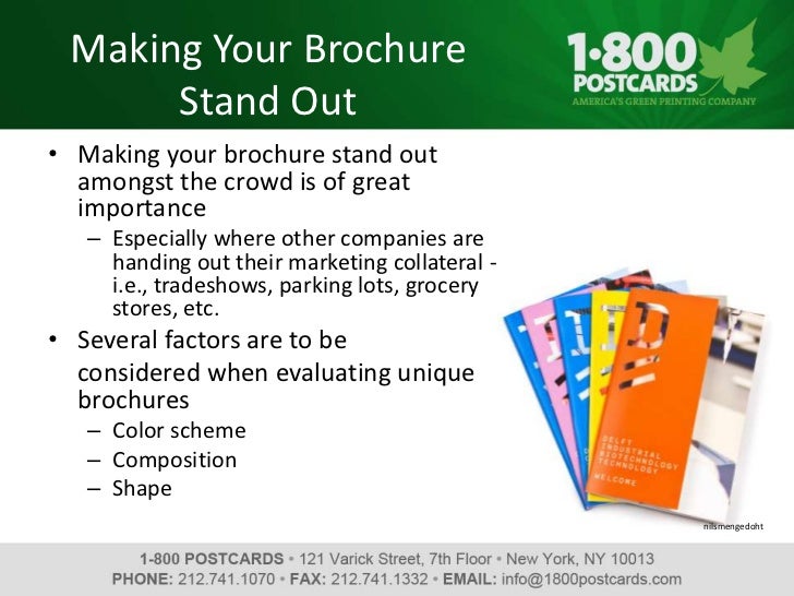 How To Make Your Brochure Design Stand Out