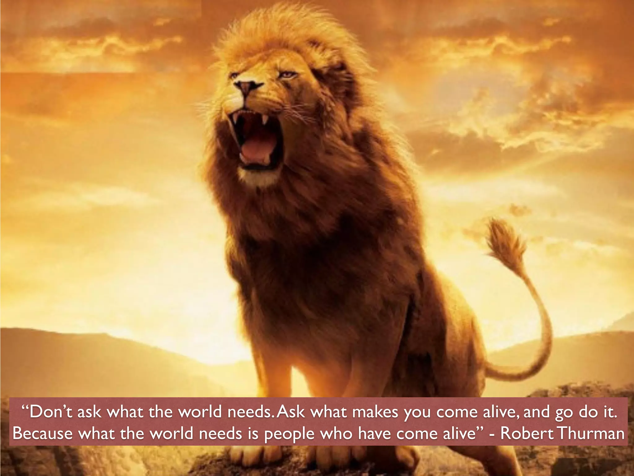 “Don’t ask what the world needs.Ask what makes you come alive, and go do it.
Because what the world needs is people who have come alive” - Robert Thurman
 