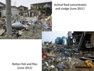 Temporal changes in environmental health risks and socio-psychological status in areas affected by the 2011 tsunami in Ishinomaki, Japan