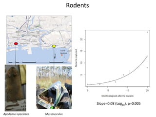Temporal changes in environmental health risks and socio-psychological status in areas affected by the 2011 tsunami in Ishinomaki, Japan