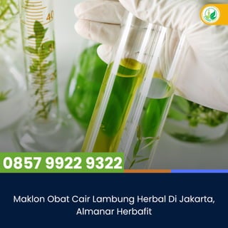 Maklon Obat Cair Lambung Herbal Di Jakarta, Almanar Herbafit.pdf