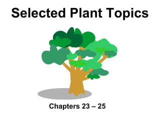 Selected Plant Topics Chapters 23 – 25 