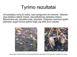 Tyrimo rezultatai
Iš 6 pastatytų namų šį rudenį, ežys apsigyveno tik viename. Vakarais
ežys išeidavo ieškoti maisto, taip palikdamas pėdsakus žolyne.
Šeimininkas ežį pavaišino pele, obuoliais. Dviejuose namuose aptikti
pėdsakai, pagal kuriuos galima teigti, jog ežiai buvo užsukę.
Nacionalinė nuotolinė mokinių konferencija Mokyklinė aplinkotyra 2015, spalio 28d.- lapkričio 12, Lietuva
 