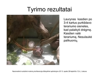 Tyrimo rezultatai
Nacionalinė nuotolinė mokinių konferencija Mokyklinė aplinkotyra 201 5, spalio 28-lapkričio 12 d., Lietuva
Laurynas kasdien po
3-4 kartus purkšdavo
terariumo sieneles,
kad palaikyti drėgmę.
Kasdien valė
terariumą. Nesulaukė
palikuonių.
 