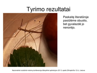 Tyrimo rezultatai
Nacionalinė nuotolinė mokinių konferencija Mokyklinė aplinkotyra 201 5, spalio 28-lapkričio 12 d., Lietuva
Paskaitę literatūroje
pasiūlėme obuolio,
bet gyvalazdė jo
nenorėjo.
 