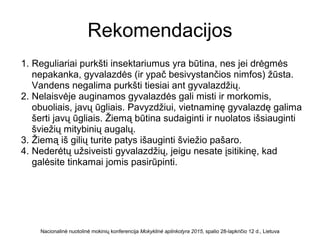 Rekomendacijos
1. Reguliariai purkšti insektariumus yra būtina, nes jei drėgmės
nepakanka, gyvalazdės (ir ypač besivystančios nimfos) žūsta.
Vandens negalima purkšti tiesiai ant gyvalazdžių.
2. Nelaisvėje auginamos gyvalazdės gali misti ir morkomis,
obuoliais, javų ūgliais. Pavyzdžiui, vietnaminę gyvalazdę galima
šerti javų ūgliais. Žiemą būtina sudaiginti ir nuolatos išsiauginti
šviežių mitybinių augalų.
3. Žiemą iš gilių turite patys išauginti šviežio pašaro.
4. Nederėtų užsiveisti gyvalazdžių, jeigu nesate įsitikinę, kad
galėsite tinkamai jomis pasirūpinti.
Nacionalinė nuotolinė mokinių konferencija Mokyklinė aplinkotyra 2015, spalio 28-lapkričio 12 d., Lietuva
 