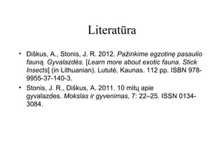Literatūra
• Diškus, A., Stonis, J. R. 2012. Pažinkime egzotinę pasaulio
fauną. Gyvalazdės. [Learn more about exotic fauna. Stick
Insects] (in Lithuanian). Lututė, Kaunas. 112 pp. ISBN 978-
9955-37-140-3.
• Stonis, J. R., Diškus, A. 2011. 10 mitų apie
gyvalazdes. Mokslas ir gyvenimas, 7: 22–25. ISSN 0134-
3084.
 