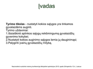 Įvadas
Tyrimo tikslas - nustatyti kokios sąlygos yra tinkamos
gyvalazdėms auginti.
Tyrimo uždaviniai:
1.Išsiaiškinti aplinkos sąlygų reikšmingumą gyvalazdžių
gyvenimo kokybei;
2.Nustatyti kokios auginimo sąlygos lemia jų dauginimąsi;
3.Palyginti įvairių gyvalazdžių mitybą.
Nacionalinė nuotolinė mokinių konferencija Mokyklinė aplinkotyra 2015, spalio 28-lapkričio 12 d., Lietuva
 