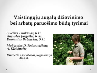 Vaistingųjų augalų džiovinimo
bei arbatų paruošimo būdų tyrimai
Liucijus Trinkūnas, 6 kl.
Augustas Jurgaitis, 6 kl.
Domantas Bužinskas, 5 kl.
Mokytojos D. Fedaravičienė,
A. Klebonaitė
Panevėžio r. Dembavos progimnazija
2015 m.
 