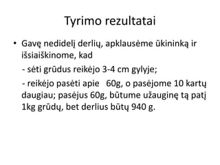 Tyrimo rezultatai
• Gavę nedidelį derlių, apklausėme ūkininką ir
išsiaiškinome, kad
- sėti grūdus reikėjo 3-4 cm gylyje;
- reikėjo pasėti apie 60g, o pasėjome 10 kartų
daugiau; pasėjus 60g, būtume užauginę tą patį
1kg grūdų, bet derlius būtų 940 g.
 