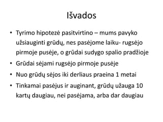 Išvados
• Tyrimo hipotezė pasitvirtino – mums pavyko
užsiauginti grūdų, nes pasėjome laiku- rugsėjo
pirmoje pusėje, o grūdai sudygo spalio pradžioje
• Grūdai sėjami rugsėjo pirmoje pusėje
• Nuo grūdų sėjos iki derliaus praeina 1 metai
• Tinkamai pasėjus ir auginant, grūdų užauga 10
kartų daugiau, nei pasėjama, arba dar daugiau
 