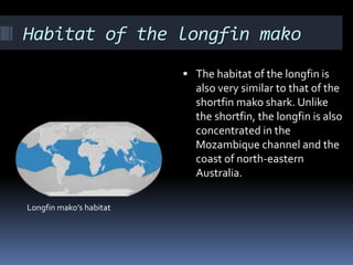 Habitat of the longfin mako
 The habitat of the longfin is
also very similar to that of the
shortfin mako shark. Unlike
the shortfin, the longfin is also
concentrated in the
Mozambique channel and the
coast of north-eastern
Australia.
Longfin mako’s habitat
 