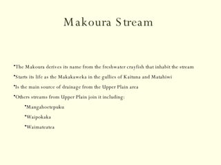 Makoura Stream   ,[object Object],[object Object],[object Object],[object Object],[object Object],[object Object],[object Object]