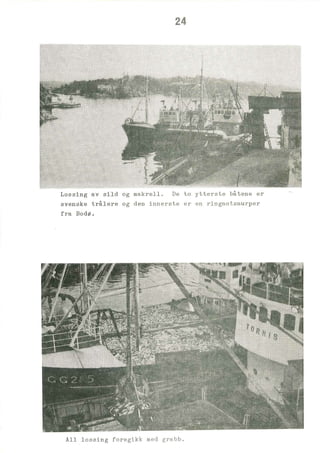 Makrellmotak I Randesund