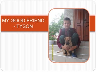 MY GOOD FRIEND
- TYSON
 