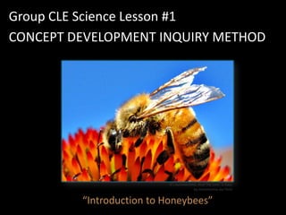 Group CLE Science Lesson #1
CONCEPT DEVELOPMENT INQUIRY METHOD




                           It's Summertime, And The Livin' Is Easy
                                         by mommamia via Flickr


         “Introduction to Honeybees”
 