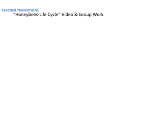 TEACHER TRANSITIONS
     “Honeybees-Life Cycle” Video & Group Work
 