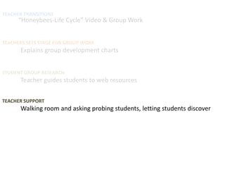 TEACHER TRANSITIONS
     “Honeybees-Life Cycle” Video & Group Work


TEACHERS SETS STAGE FOR GROUP WORK
      Explains group development charts


STUDENT GROUP RESEARCH
      Teacher guides students to web resources

TEACHER SUPPORT
      Walking room and asking probing students, letting students discover
 