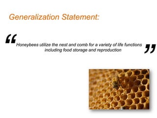 Generalization Statement:




“   Honeybees utilize the nest and comb for a variety of life functions
                  including food storage and reproduction



                                                                      ”
 