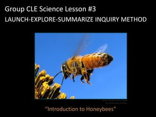 Group CLE Science Lesson #3
LAUNCH-EXPLORE-SUMMARIZE INQUIRY METHOD




                                Here's Another Bee In Flight
                                   by mommamia via Flickr


           “Introduction to Honeybees”
 