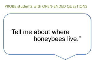 PROBE students with OPEN-ENDED QUESTIONS




  “Tell me about where
           honeybees live.”
 
