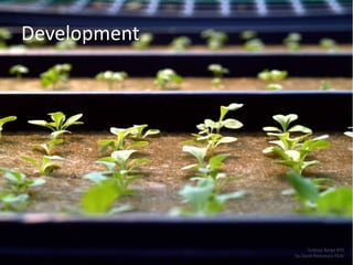 Development




                    Science Barge NYC
              by David Reevesvia Flickr
 