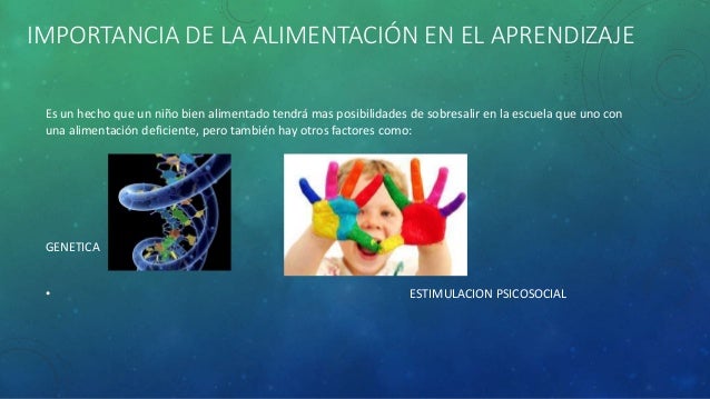 Mala alimentación y aprendizaje infantil Mala alimentación y aprendizaje infantil