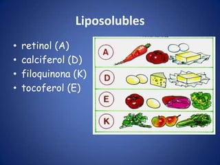 Liposolubles
•
•
•
•

retinol (A)
calciferol (D)
filoquinona (K)
tocoferol (E)

 