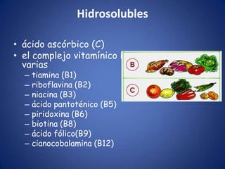 Hidrosolubles
• ácido ascórbico (C)
• el complejo vitamínico B que comprende
varias
–
–
–
–
–
–
–
–

tiamina (B1)
riboflavina (B2)
niacina (B3)
ácido pantoténico (B5)
piridoxina (B6)
biotina (B8)
ácido fólico(B9)
cianocobalamina (B12)

 
