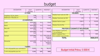 DESIGNATION COUT
UNITAIRE
QUANTITE MONTANT
LE STAND
Chapiteau 16,2m, 4x4m 210€ 1 210 €
Kakémono 100x200 cm 42 € 1 42 €
LES ANIMATEURS
Lundi 9,67 € (SMIC
brut)
4 x 3 116,4 €
Mardi 9,67 € (SMIC
brut)
4 x 3 116,4 €
Mercredi 9,67 € (SMIC
brut)
5 x 3 145,05 €
Jeudi 9,67 € (SMIC
brut)
5 x 3 145,05 €
Samedi 9,67 € (SMIC
brut)
4 x 3 116,4 + (30 x 3)
(primes du
=206,4 €
Dimanche 9,67 € (SMIC
brut)
4 x 3 116,4 + (30 x 3)
(primes du
=206,4 €
T-SHIRTS
T-shirt sérigraphiés pour animateurs 20,46 € 9 € 184,14 €
T-shirt sérigraphiés pour les 11,50 € 120 € 1380 €
DESIGNATION COUT
UNITAIRE
QUANTITE MONTANT
MALABARS
Malabar basic boite de 200 16,53 € 4 66,12 €
Malabar Cola boite de 200 24 € 4 96 €
Malabar Barbe à papa 25,80 € 4 103,20 €
Malabar Electrik Mix 31 € 4 124 €
PRIX POUR LES GAGNANTS ET INFLUENCEURS
Seau Malabar 5 parfums
1 an de Malabar)
6,29 € 12 75,48 €
Billets magiques Flex –
Paris (valable toute l’année)
75 € 6 450 €
TOTAL 3666,64 €
budget
Budget Initial Prévu: 5 000 €
 