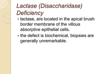 Lactase (Disaccharidase)
Deficiency
 lactase, are located in the apical brush
border membrane of the villous
absorptive epithelial cells.
 the defect is biochemical, biopsies are
generally unremarkable.
 
