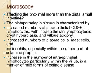 Microscopy
 affecting the proximal more than the distal small
intestine?
 The histopathologic picture is characterized by
 increased numbers of intraepithelial CD8+ T
lymphocytes, with intraepithelian lymphocytosis,
crypt hyperplasia, and villous atrophy.
 increased numbers of plasma cells, mast cells,
and
eosinophils, especially within the upper part of
the lamina propria.
 increase in the number of intraepithelial
lymphocytes particularly within the villus, is a
marker of mild forms of celiac disease.
 