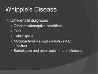 Whipple’s DiseaseDifferential diagnosisOther malabsorptive conditionsFUOCeliac sprueMycobacterium avium complex (MAC) infectionSarcoidosis and other autoimmune diseases