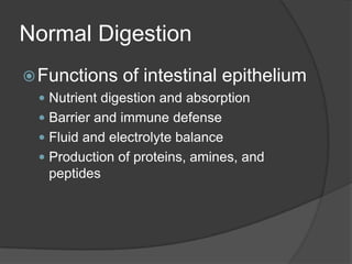 Normal DigestionFunctions of intestinal epitheliumNutrient digestion and absorptionBarrier and immune defenseFluid and electrolyte balanceProduction of proteins, amines, and peptides