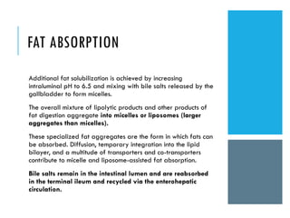Malabsorption_Detailed_Presentation (1) [Autosaved].pptx
