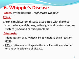 6. Whipple's Disease 
Cause: by the bacteria Tropheryma whipplei. 
Effect: 
Chronic multisystem disease associated with diarrhea, 
steatorrhea, weight loss, arthralgia, and central nervous 
system (CNS) and cardiac problems . 
Diagnosis: 
- identification of T. whipplei by polymerase chain reaction 
(PCR). 
- PAS-positive macrophages in the small intestine and other 
organs with evidence of disease. 
19 
 