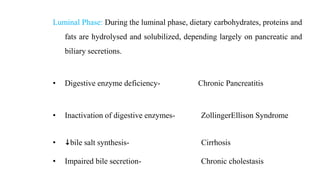 Luminal Phase: During the luminal phase, dietary carbohydrates, proteins and
fats are hydrolysed and solubilized, depending largely on pancreatic and
biliary secretions.
• Digestive enzyme deficiency- Chronic Pancreatitis
• Inactivation of digestive enzymes- ZollingerEllison Syndrome
• bile salt synthesis- Cirrhosis
• Impaired bile secretion- Chronic cholestasis
 