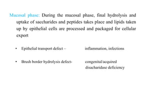 Mucosal phase: During the mucosal phase, final hydrolysis and
uptake of saccharides and peptides takes place and lipids taken
up by epithelial cells are processed and packaged for cellular
export
• Epithelial transport defect – inflammation, infections
• Brush border hydrolysis defect- congenital/acquired
disacharidase deficiency
 