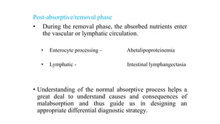 Post-absorptive/removal phase
• During the removal phase, the absorbed nutrients enter
the vascular or lymphatic circulation.
• Enterocyte processing – Abetalipoproteinemia
• Lymphatic - Intestinal lymphangectasia
• Understanding of the normal absorptive process helps a
great deal to understand causes and consequences of
malabsorption and thus guide us in designing an
appropriate differential diagnostic strategy.
 