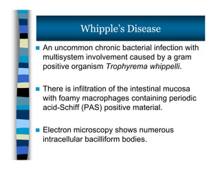 An uncommon chronic bacterial infection with
multisystem involvement caused by a gram
positive organism Trophyrema whippelli.
 There is infiltration of the intestinal mucosa
with foamy macrophages containing periodic
acid-Schiff (PAS) positive material.
 Electron microscopy shows numerous
intracellular bacilliform bodies.
Whipple’s Disease
 An uncommon chronic bacterial infection with
multisystem involvement caused by a gram
positive organism Trophyrema whippelli.
 There is infiltration of the intestinal mucosa
with foamy macrophages containing periodic
acid-Schiff (PAS) positive material.
 Electron microscopy shows numerous
intracellular bacilliform bodies.
 