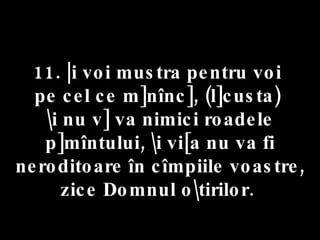 11. |i voi mustra pentru voi  pe cel ce m]nînc], (l]custa)  \i nu v] va nimici roadele p]mîntului, \i vi[a nu va fi neroditoare în cîmpiile voastre, zice Domnul o\tirilor.  