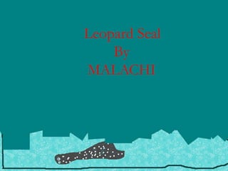 Leopard Seal
    By
MALACHI
 