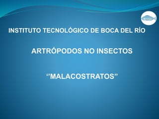INSTITUTO TECNOLÓGICO DE BOCA DEL RÍO 
ARTRÓPODOS NO INSECTOS 
‘’MALACOSTRATOS’’ 
 