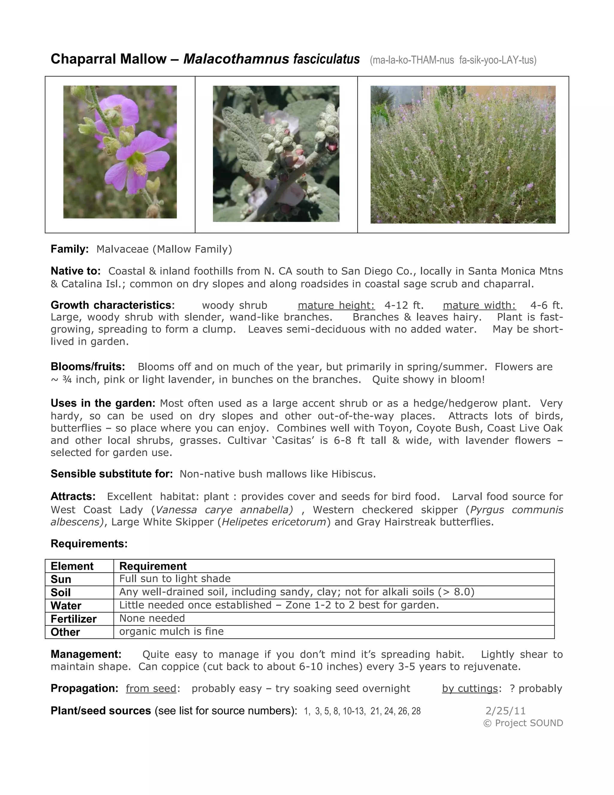 Malacothamnus fasculatus | PDF