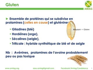 Gluten
6www.amiag.org asso.amiag@gmail.com Facebook/Amiag Casablanca
► Ensemble de protéines qui se subdivise en
prolamines (celles en cause) et gluténines :
 Gliadines (blé)
 Hordéines (orge),
 Sécalines (seigle),
 Triticale : hybride synthétique de blé et de seigle
Nb : Avénines, prolamines de l’avoine probablement
peu ou pas toxique
 