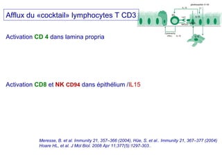 Maladie coeliaque histoire | PPT